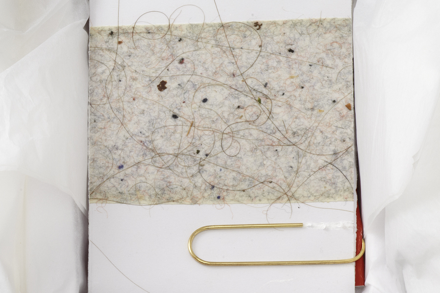 Link to close-up Ranter